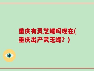 重庆有灵芝螺吗现在(重庆出产灵芝螺？)