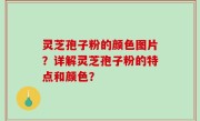 灵芝孢子粉的颜色图片？详解灵芝孢子粉的特点和颜色？