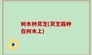 树木种灵芝(灵芝栽种在树木上)