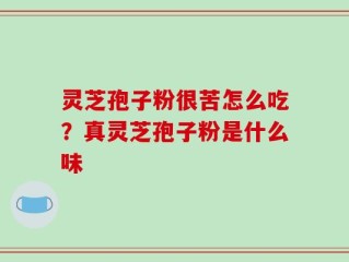 灵芝孢子粉很苦怎么吃？真灵芝孢子粉是什么味
