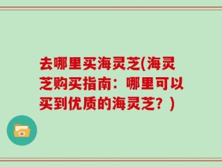 去哪里买海灵芝(海灵芝购买指南：哪里可以买到优质的海灵芝？)