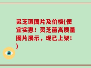 灵芝菌图片及价格(便宜实惠！灵芝菌高质量图片展示，现已上架！)