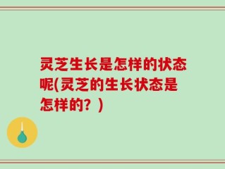 灵芝生长是怎样的状态呢(灵芝的生长状态是怎样的？)