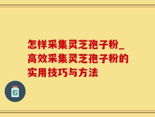 怎样采集灵芝孢子粉_高效采集灵芝孢子粉的实用技巧与方法