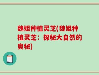 魏姐种植灵芝(魏姐种植灵芝：探秘大自然的奥秘)