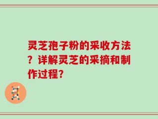 灵芝孢子粉的采收方法？详解灵芝的采摘和制作过程？