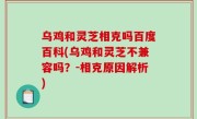 乌鸡和灵芝相克吗百度百科(乌鸡和灵芝不兼容吗？-相克原因解析)