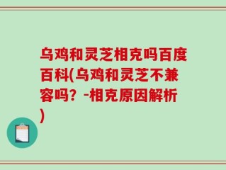 乌鸡和灵芝相克吗百度百科(乌鸡和灵芝不兼容吗？-相克原因解析)