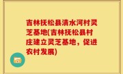 吉林抚松县清水河村灵芝基地(吉林抚松县村庄建立灵芝基地，促进农村发展)