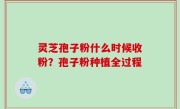 灵芝孢子粉什么时候收粉？孢子粉种植全过程