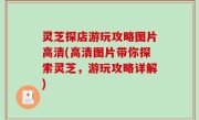 灵芝探店游玩攻略图片高清(高清图片带你探索灵芝，游玩攻略详解)