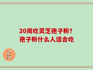 20周吃灵芝孢子粉？孢子粉什么人适合吃