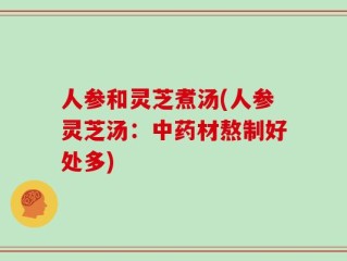 人参和灵芝煮汤(人参灵芝汤：中药材熬制好处多)