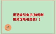 灵芝吸引虫子(如何利用灵芝吸引昆虫？)