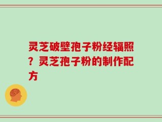 灵芝破壁孢子粉经辐照？灵芝孢子粉的制作配方