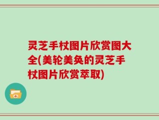 灵芝手杖图片欣赏图大全(美轮美奂的灵芝手杖图片欣赏萃取)