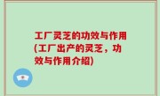工厂灵芝的功效与作用(工厂出产的灵芝，功效与作用介绍)