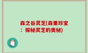 森之谷灵芝(森里珍宝：探秘灵芝的奥秘)
