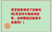 灵芝培育成功了还能吃吗(灵芝终于被成功培育，这种蘑菇还能用于食用吗？)