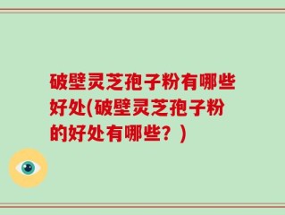 破壁灵芝孢子粉有哪些好处(破壁灵芝孢子粉的好处有哪些？)