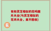 有和灵芝相似的花吗图片大全(与灵芝相似的花卉大全，美不胜收)