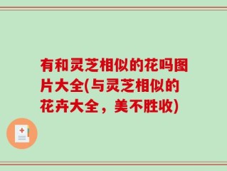 有和灵芝相似的花吗图片大全(与灵芝相似的花卉大全，美不胜收)