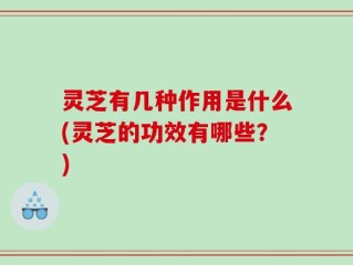 灵芝有几种作用是什么(灵芝的功效有哪些？)