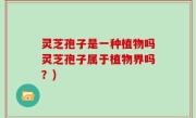 灵芝孢子是一种植物吗灵芝孢子属于植物界吗？)
