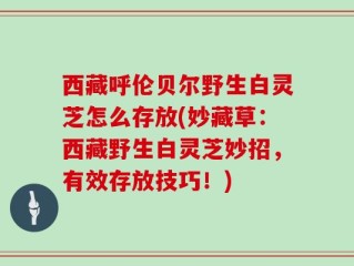 西藏呼伦贝尔野生白灵芝怎么存放(妙藏草：西藏野生白灵芝妙招，有效存放技巧！)