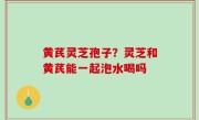 黄芪灵芝孢子？灵芝和黄芪能一起泡水喝吗
