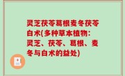 灵芝茯苓葛根麦冬茯苓白术(多种草本植物：灵芝、茯苓、葛根、麦冬与白术的益处)