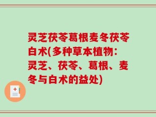 灵芝茯苓葛根麦冬茯苓白术(多种草本植物：灵芝、茯苓、葛根、麦冬与白术的益处)