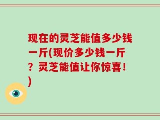 现在的灵芝能值多少钱一斤(现价多少钱一斤？灵芝能值让你惊喜！)