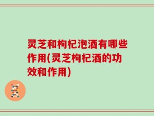灵芝和枸杞泡酒有哪些作用(灵芝枸杞酒的功效和作用)