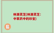 林源灵芝(林源灵芝：中草药中的珍宝)