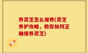 养灵芝怎么保养(灵芝养护攻略，教你如何正确保养灵芝)