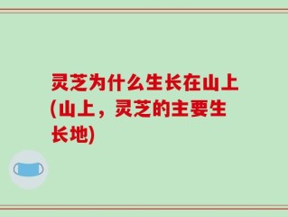 灵芝为什么生长在山上(山上，灵芝的主要生长地)