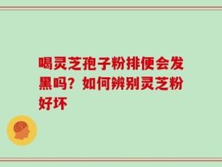 喝灵芝孢子粉排便会发黑吗？如何辨别灵芝粉好坏