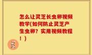 怎么让灵芝长虫卵视频教学(如何防止灵芝产生虫卵？实用视频教程！)
