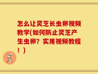 怎么让灵芝长虫卵视频教学(如何防止灵芝产生虫卵？实用视频教程！)