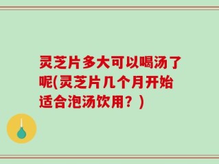 灵芝片多大可以喝汤了呢(灵芝片几个月开始适合泡汤饮用？)