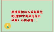 原神萌新怎么采海灵芝的(原神中海灵芝怎么采集？小白必看！)