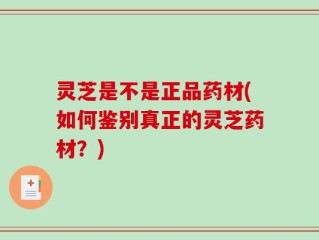 灵芝是不是正品药材(如何鉴别真正的灵芝药材？)