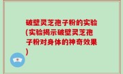 破壁灵芝孢子粉的实验(实验揭示破壁灵芝孢子粉对身体的神奇效果)