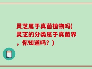 灵芝属于真菌植物吗(灵芝的分类属于真菌界，你知道吗？)