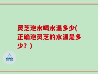 灵芝泡水喝水温多少(正确泡灵芝的水温是多少？)