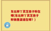 东北胖丫灵芝孢子粉在哪(东北胖丫灵芝孢子粉销售渠道在哪？)