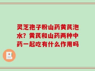 灵芝孢子粉山药黄芪泡水？黄芪和山药两种中药一起吃有什么作用吗