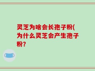 灵芝为啥会长孢子粉(为什么灵芝会产生孢子粉？