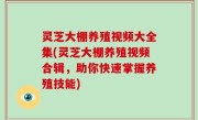 灵芝大棚养殖视频大全集(灵芝大棚养殖视频合辑，助你快速掌握养殖技能)